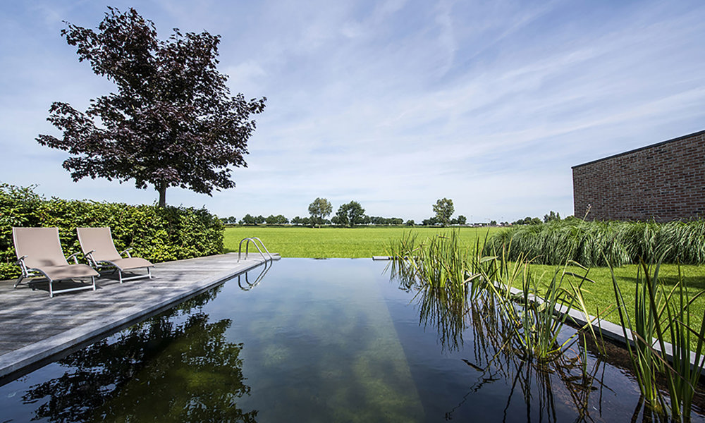 Zwemvijver Kalmthout